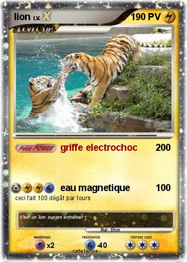 Pokemon lion