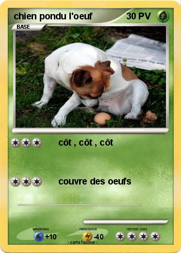 Pokemon chien pondu l'oeuf