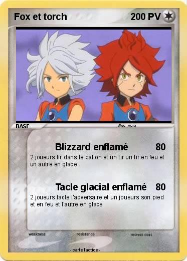 Pokemon Fox et torch