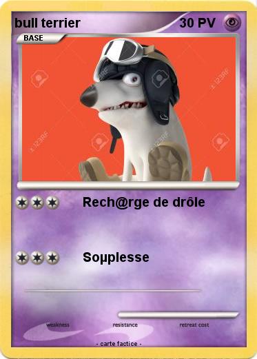 Pokemon bull terrier