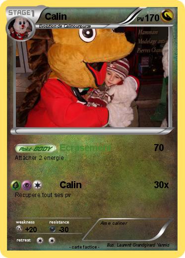 Pokemon Calin