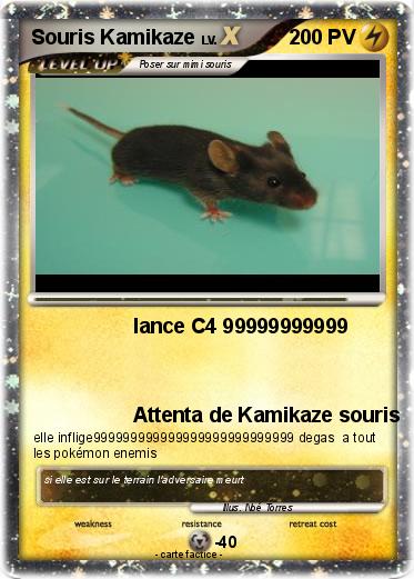 Pokemon Souris Kamikaze