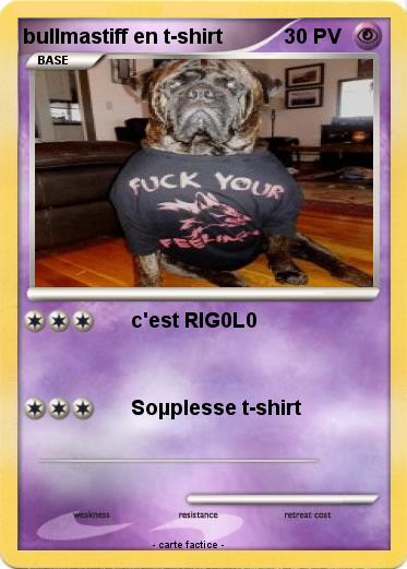 Pokemon bullmastiff en t-shirt