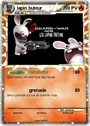 Pokemon lapin buteur