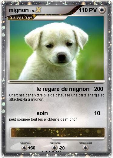 Pokemon mignon