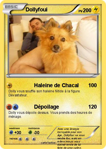 Pokemon Dollyfoui