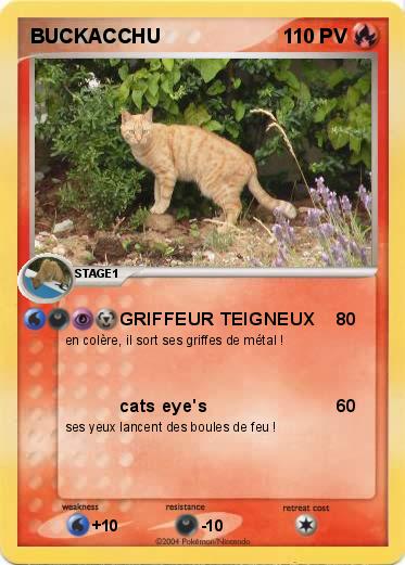 Pokemon BUCKACCHU