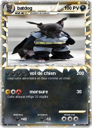 Pokemon batdog
