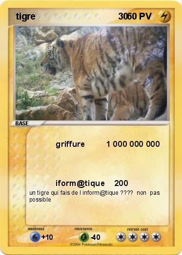 Pokemon  tigre                                 30