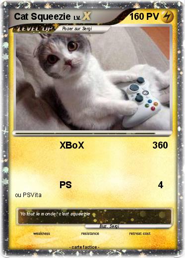 Pokemon Cat Squeezie