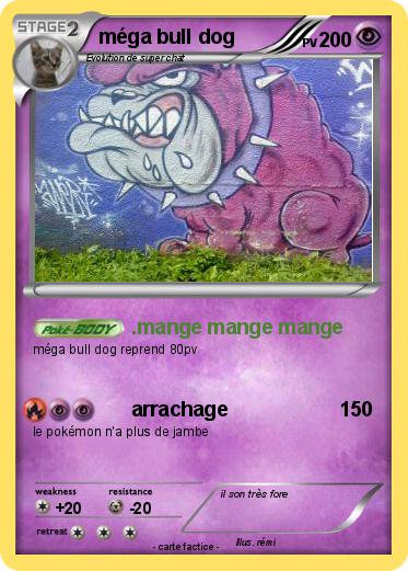 Pokemon méga bull dog