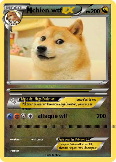 Pokemon chien wtf