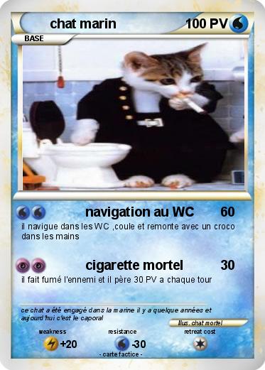 Pokemon chat marin