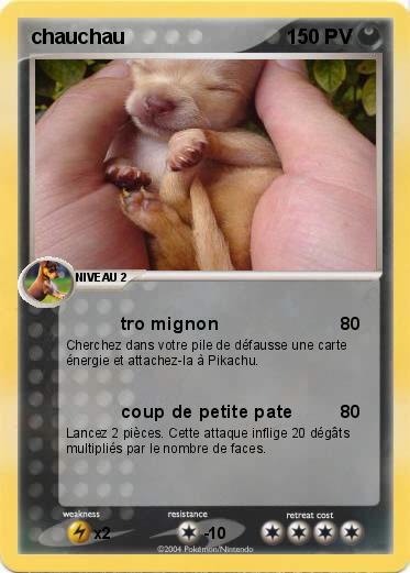 Pokemon chauchau