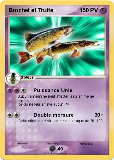 Pokemon Brochet et Truite