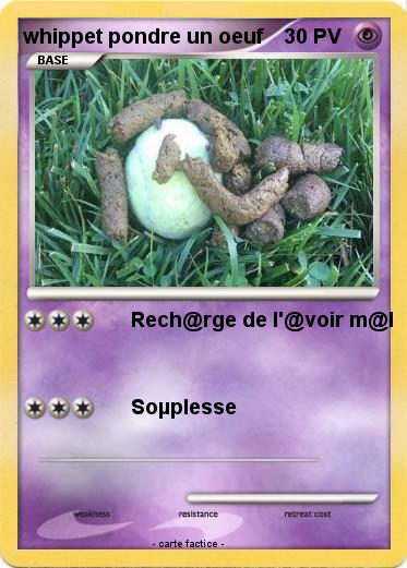 Pokemon whippet pondre un oeuf