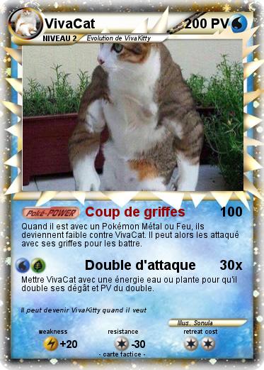 Pokemon VivaCat