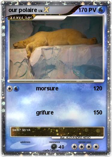 Pokemon our polaire