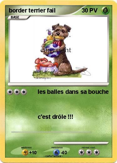 Pokemon border terrier fail