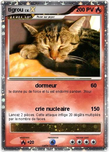 Pokemon tigrou