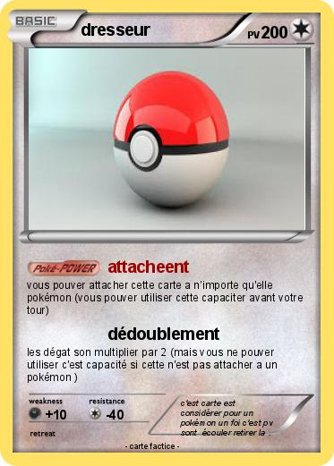 Pokemon dresseur