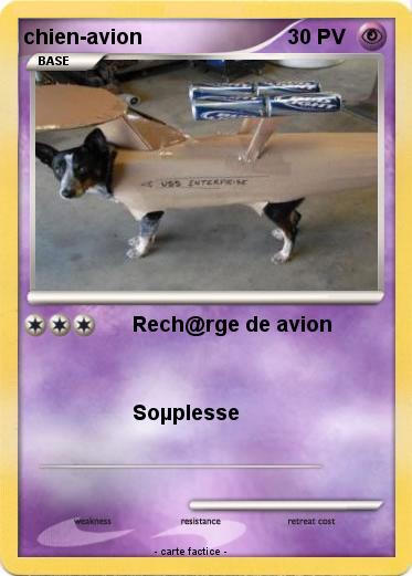 Pokemon chien-avion