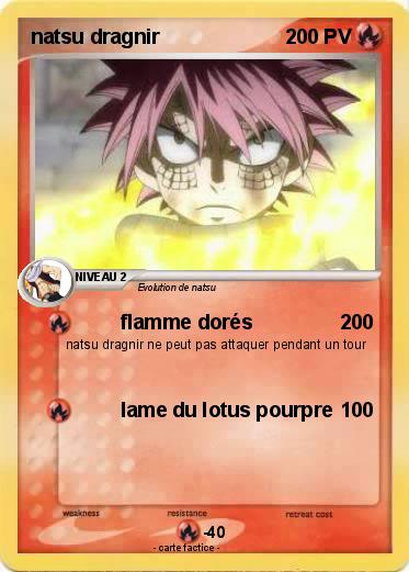 Pokemon natsu dragnir