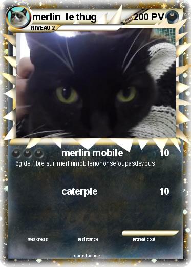 Pokemon merlin  le thug