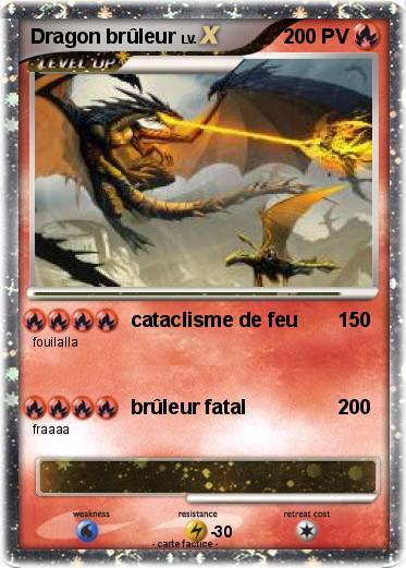 Pokemon Dragon brûleur