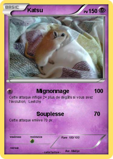 Pokemon Katsu