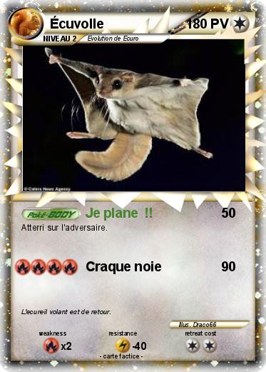 Pokemon Écuvolle