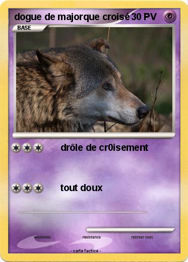 Pokemon dogue de majorque croisé