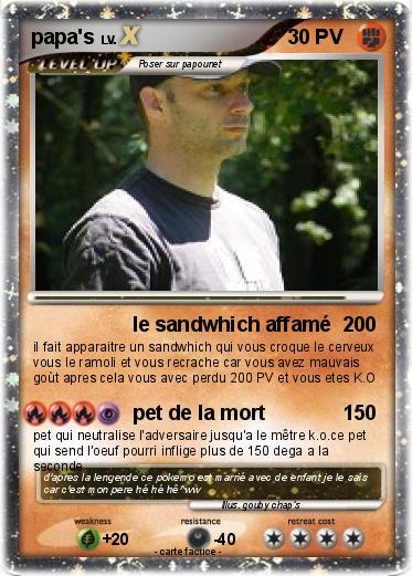 Pokemon papa's