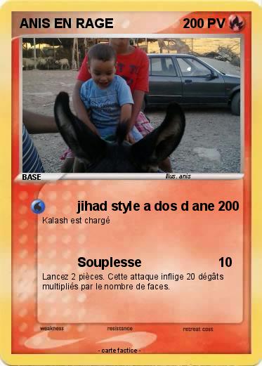 Pokemon ANIS EN RAGE
