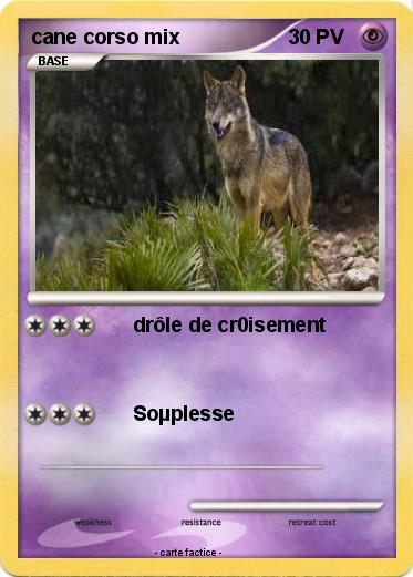 Pokemon cane corso mix