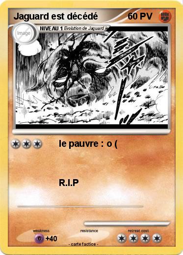 Pokemon Jaguard est décédé