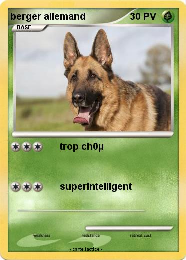 Pokemon berger allemand