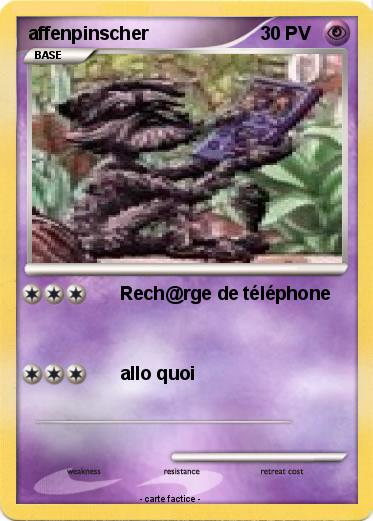 Pokemon affenpinscher