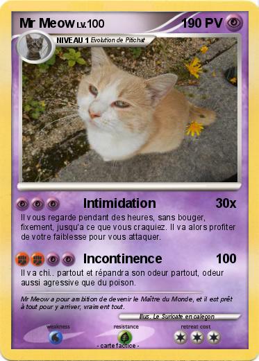 Pokemon Mr Meow