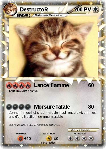 Pokemon DestructoR