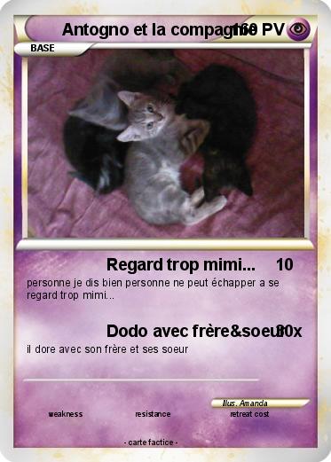 Pokemon Antogno et la compagnie