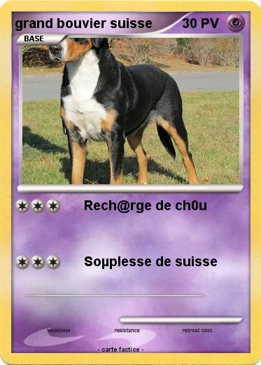 Pokemon grand bouvier suisse