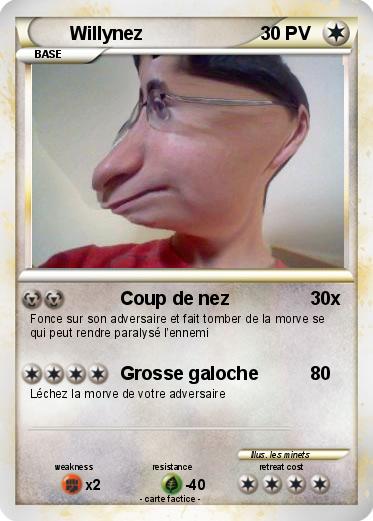 Pokemon Willynez