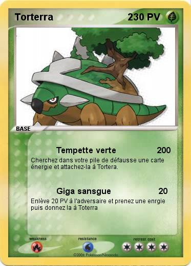 Pokemon Torterra                             2