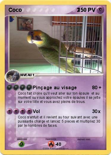 Pokemon Coco                                    2 