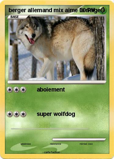 Pokemon berger allemand mix aime la neige