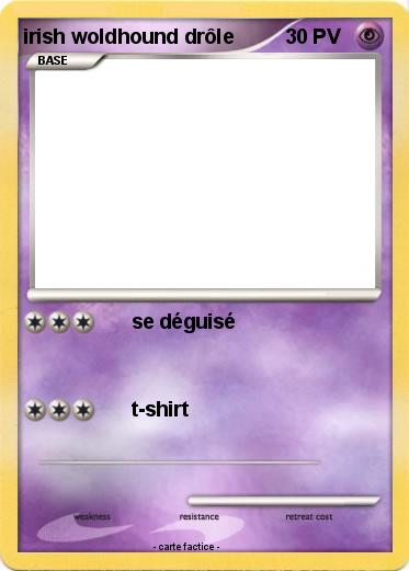 Pokemon irish woldhound drôle