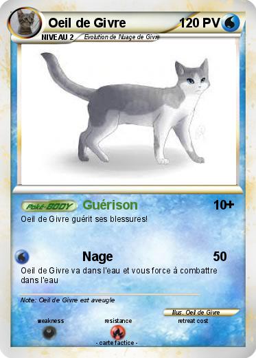 Pokemon Oeil de Givre