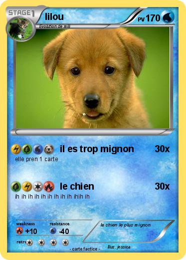 Pokemon lilou