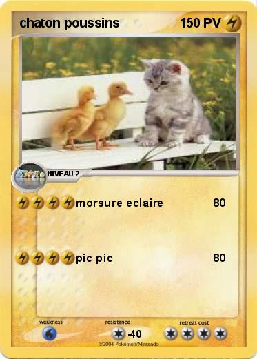 Pokemon chaton poussins